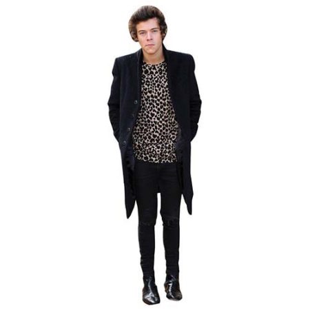 Featured image for “Harry Styles 2013 Cardboard Cutout”