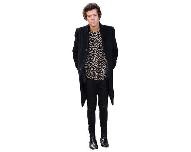 Harry Styles 2013 Cardboard Cutout