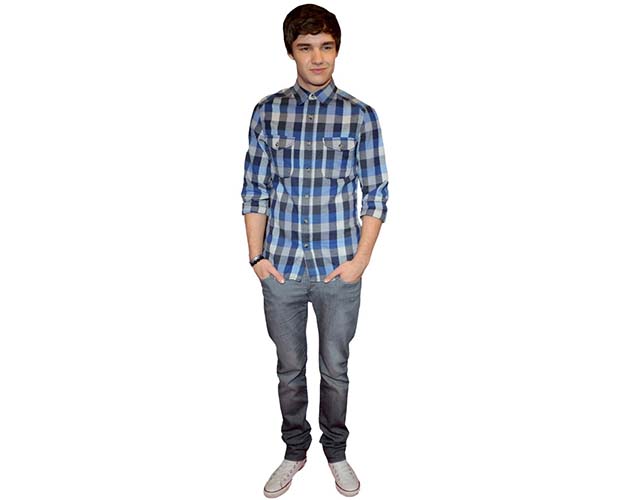 A Lifesize Cardboard Cutout of Liam Payne wearing a plaid shirt