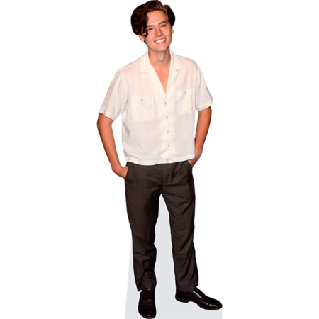 Featured image for “Cole Sprouse Cardboard Cutout”
