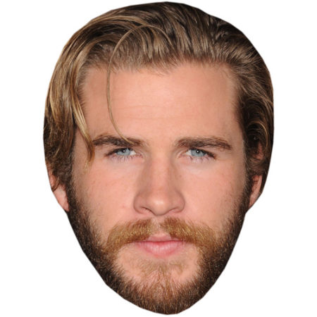 Featured image for “Liam Hemsworth Celebrity Mask”