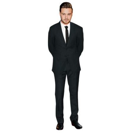 Featured image for “Liam Payne (2015) Cutout”