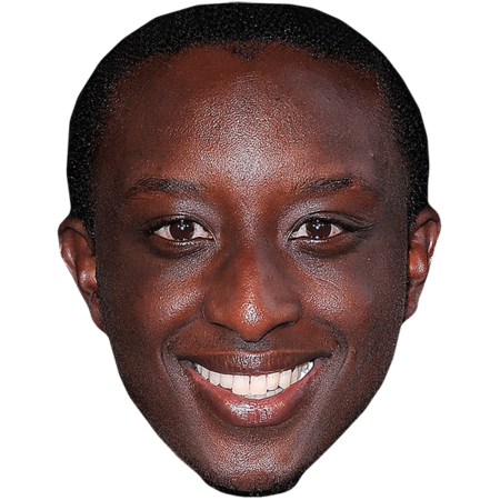 Featured image for “Ahmed Sylla Celebrity Mask”