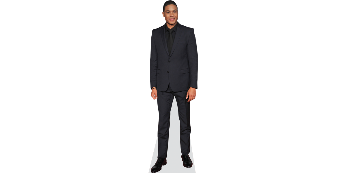 Ray Fisher (Suit)