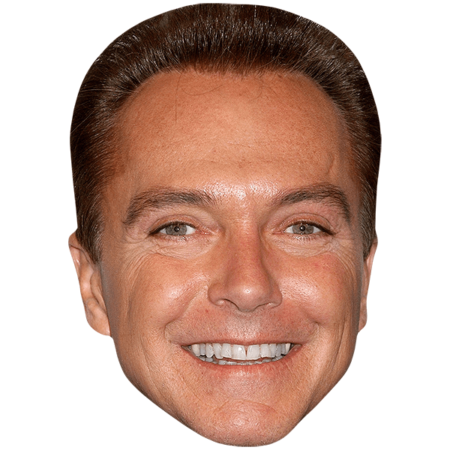 Featured image for “David Cassidy (Smile) Celebrity Mask”