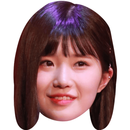 Featured image for “Ha Young (Fromis 9) Celebrity Mask”