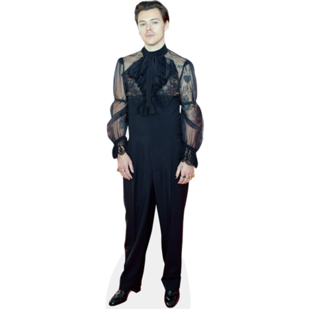 Featured image for “Harry Styles (Black Outfit) Cardboard Cutout”