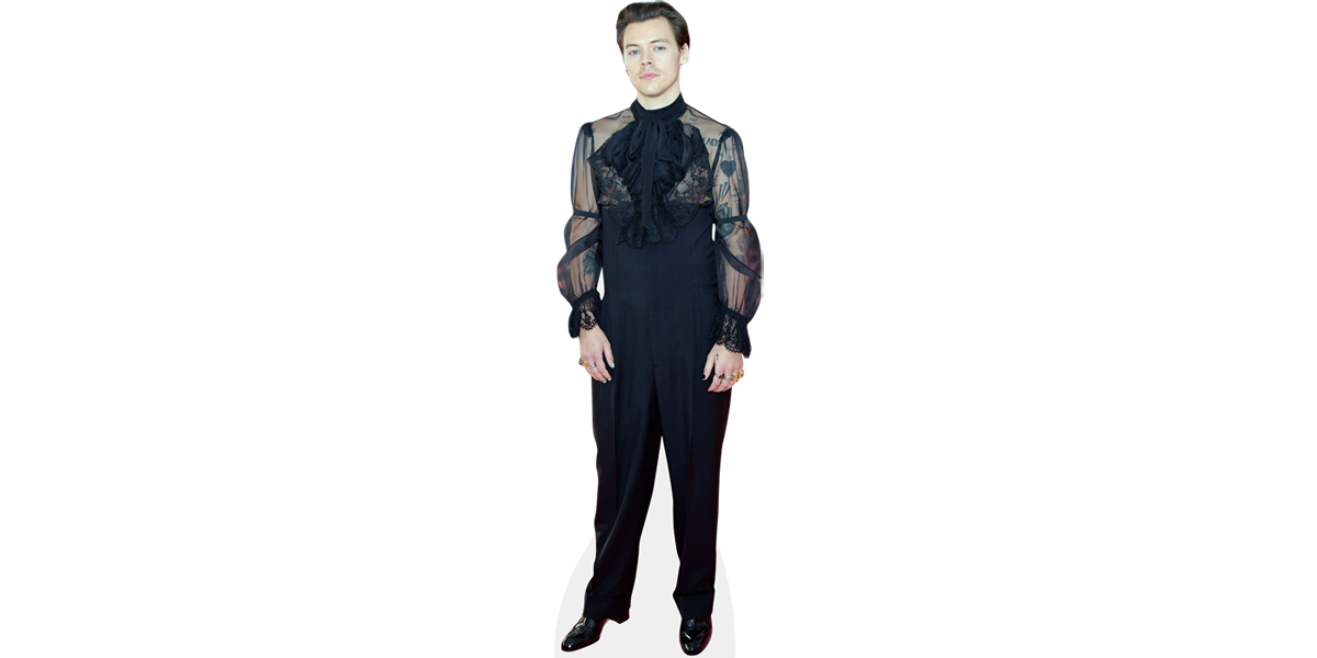 Harry Styles (Black Outfit) Cardboard Cutout