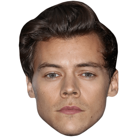 Featured image for “Harry Styles (Short Hair) Celebrity Big Head”