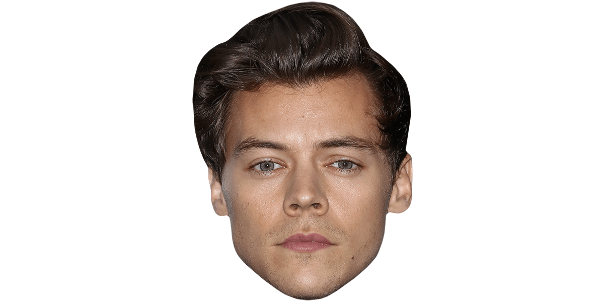 50 Harry Styles Haircut Ideas to Try | Men Hairstyles World