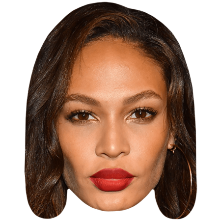 Featured image for “Joan Smalls (Hair Down) Celebrity Big Head”