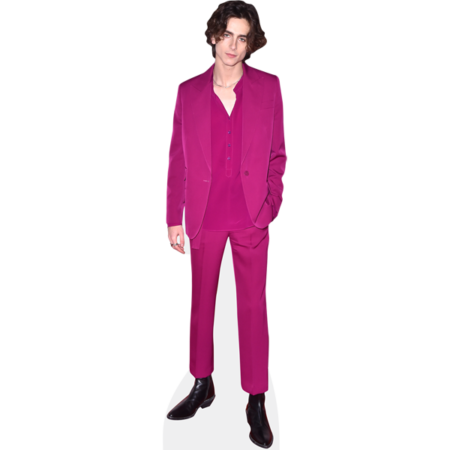 Featured image for “Timothee Chalamet (Purple Suit) Cardboard Cutout”