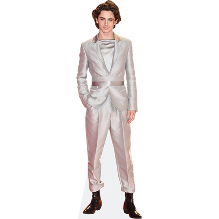 Featured image for “Timothee Chalamet (Silver Suit) Cardboard Cutout”