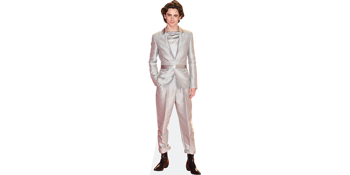 Timothee Chalamet (Silver Suit)