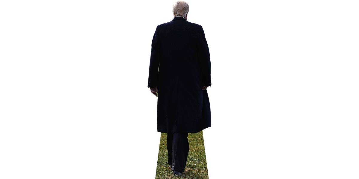Donald Trump (Back)