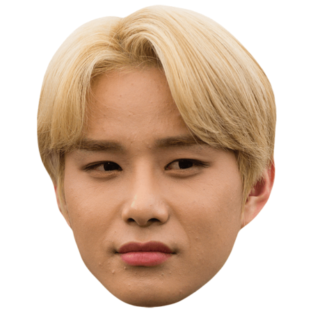 Featured image for “Jungwoo (NCT) (Blonde Hair) Celebrity Mask”