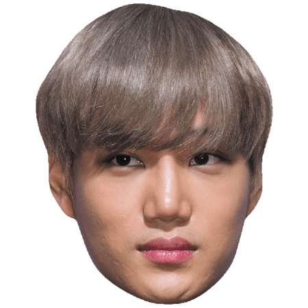 Featured image for “Kai (Silver Hair) Celebrity Mask”