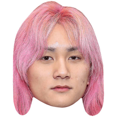 Featured image for “Ryan Lo (Pink Hair) Celebrity Big Head”