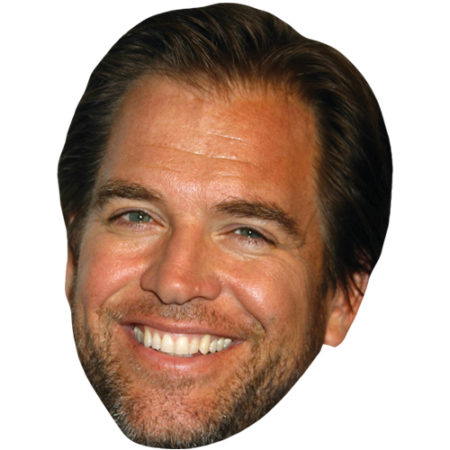 Featured image for “Michael Weatherly Celebrity Big Head”