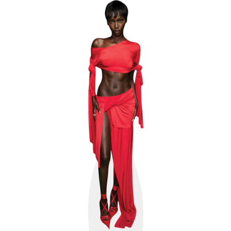 Featured image for “Anok Yai (Red Outfit) Cardboard Cutout”