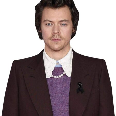 Featured image for “Harry Styles (Burgundy Suit) Half Body Buddy Cutout”