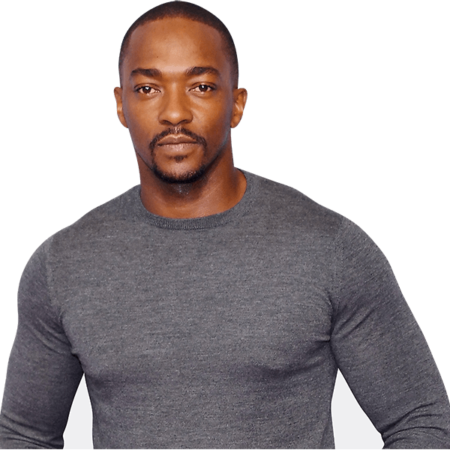 Featured image for “Anthony Mackie (Grey Top)”