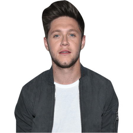 Featured image for “Niall Horan (Casual) Half Body Buddy Cutout”