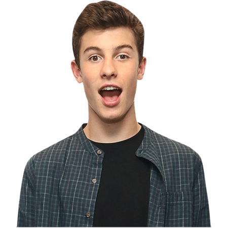 Featured image for “Shawn Mendes (Checked Shirt) Half Body Buddy Cutout”