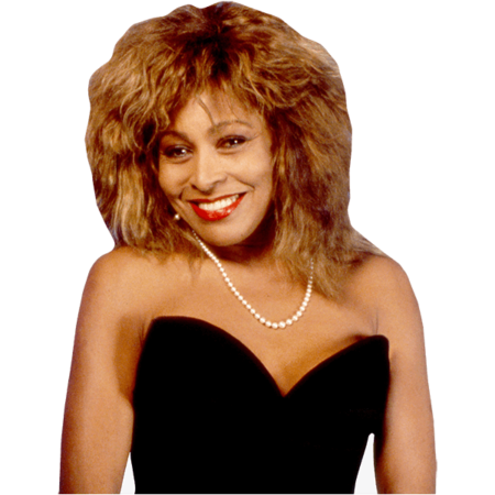 Featured image for “Tina Turner (Young) Half Body Buddy Cutout”