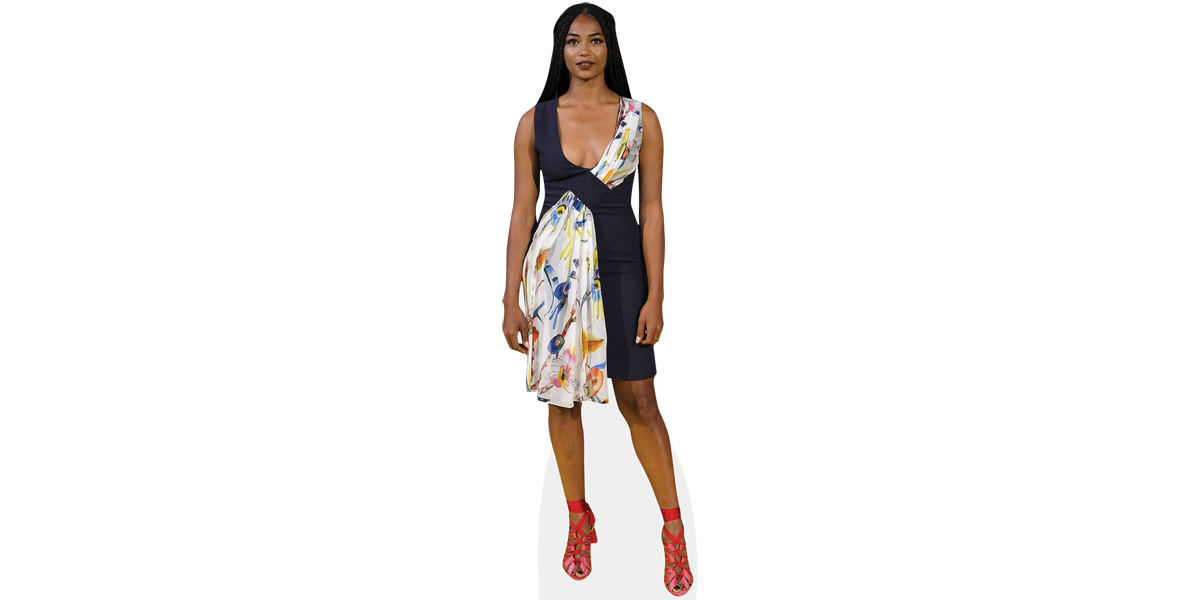 Featured image for “Birtukan Tibebe (Dress) Cardboard Cutout”