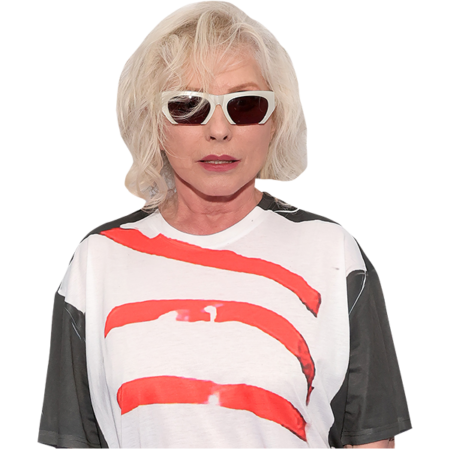 Featured image for “Debbie Harry (Leggings) Half Body Buddy Cutout”