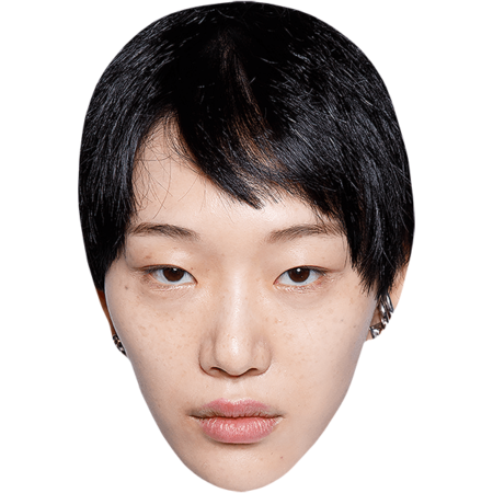 Featured image for “Sora Choi (Black Hair) Mask”