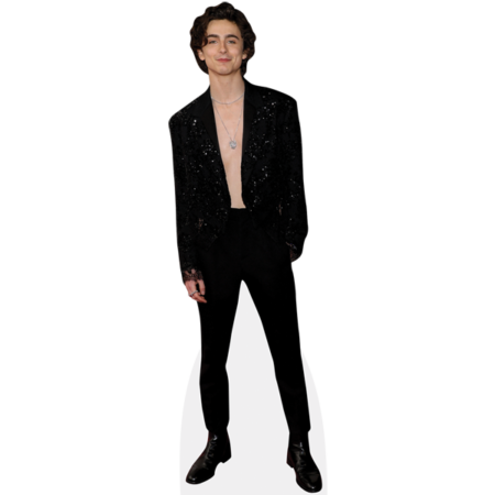 Featured image for “Timothée Chalamet (Topless) Cardboard Cutout”