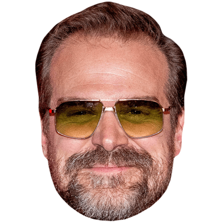 Featured image for “David Harbour (Glasses) Mask”