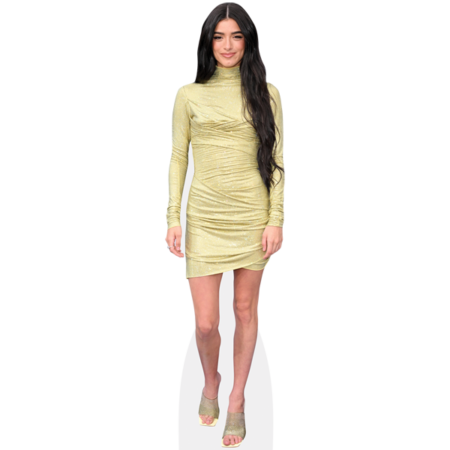 Featured image for “Dixie D'amelio (Green Dress) Cardboard Cutout”