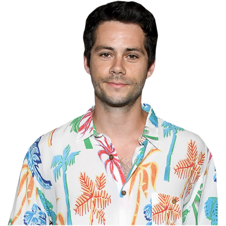 Featured image for “Dylan O'Brien (Floral Shirt) Half Body Buddy Cutout”