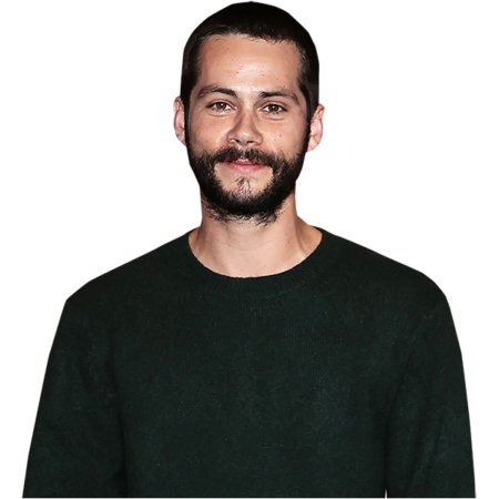 Featured image for “Dylan O'Brien (Jumper) Half Body Buddy Cutout”