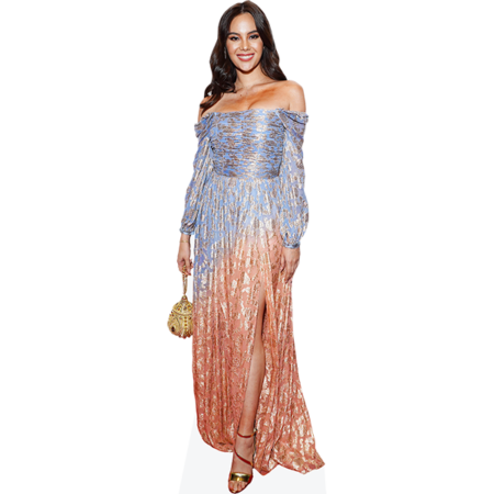 Featured image for “Catriona Gray (Long Dress) Cardboard Cutout”