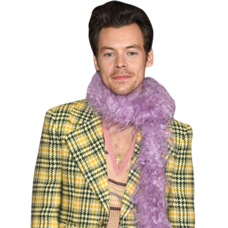 Featured image for “Harry Styles (Feather Boa) Half Body Buddy”