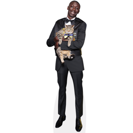 Featured image for “Khabane Lame (Cat) Cardboard Cutout”