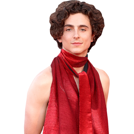Featured image for “Timothée Chalamet (Sleeveless Outfit) Half Body Buddy”