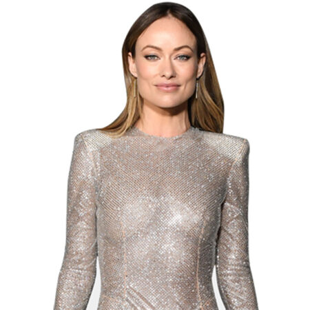 Featured image for “Olivia Wilde (Silver) Half Body Buddy”
