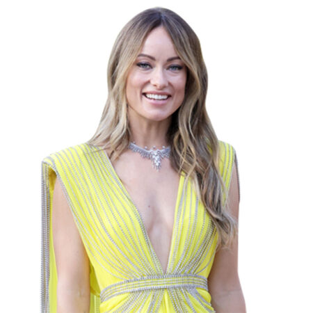 Featured image for “Olivia Wilde (Yellow) Half Body Buddy”