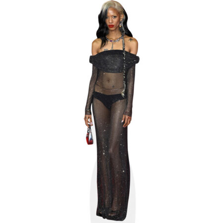 Featured image for “Adesuwa Aighewi (Sheer Dress) Cardboard Cutout”