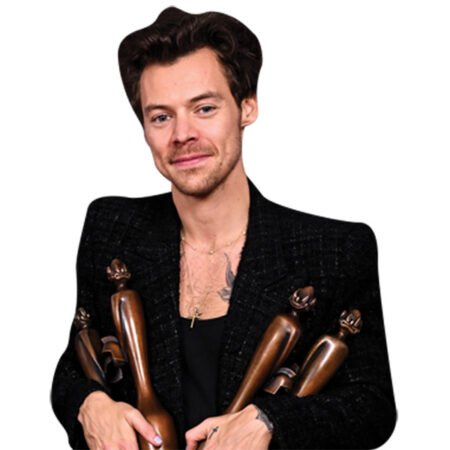 Featured image for “Harry Styles (Awards) Half Body Buddy”