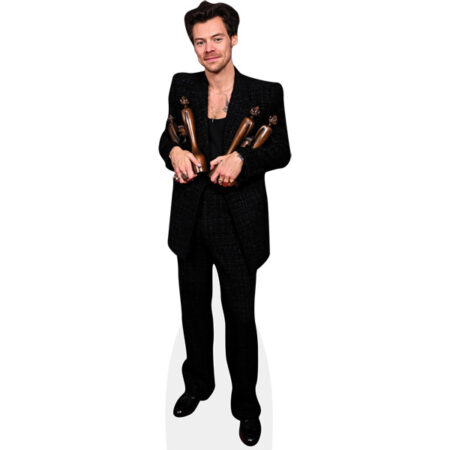 Featured image for “Harry Styles (Awards) Cardboard Cutout”