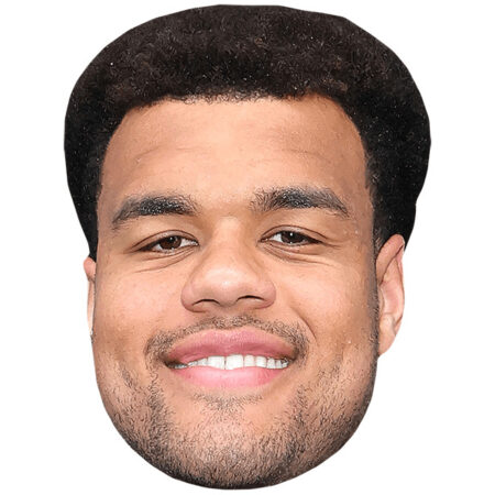 Featured image for “Arik Armstead (Smile) Mask”