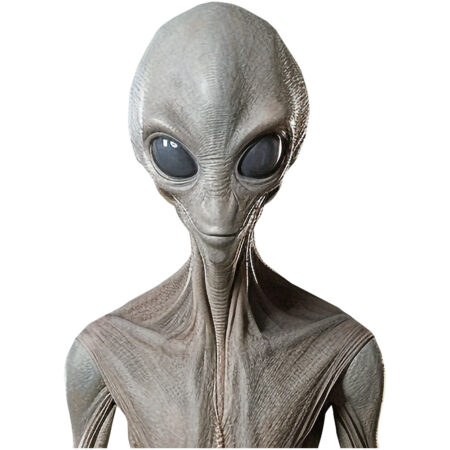 Featured image for “Alien (One) Half Body Buddy”