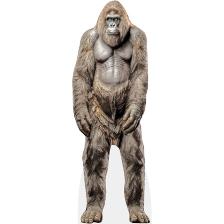 Featured image for “Cryptid (Ape Man) Cardboard Cutout”