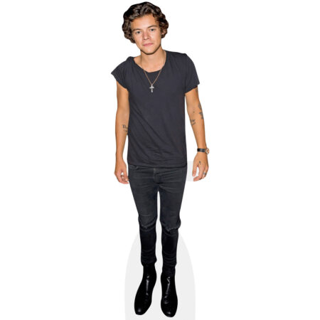 Featured image for “Harry Styles (Casual) Cardboard Cutout”